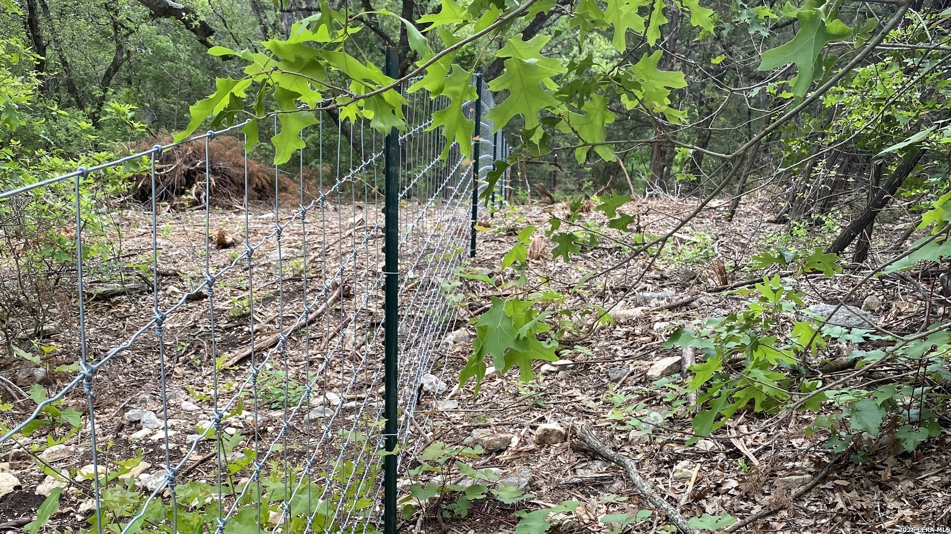 18553-18551 Bandera Road Helotes, TX 78023 - Photo 4 of 6 a backyard of a house with lots of green space