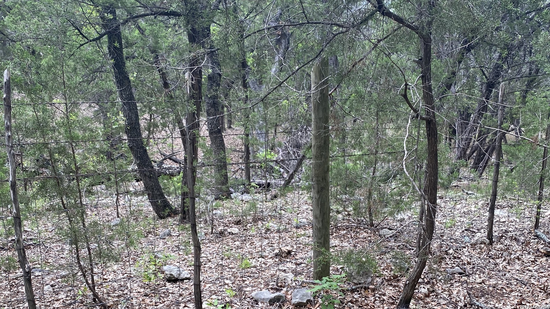 18553-18551 Bandera Road Helotes, TX 78023 - Photo 5 of 6 a view of forest