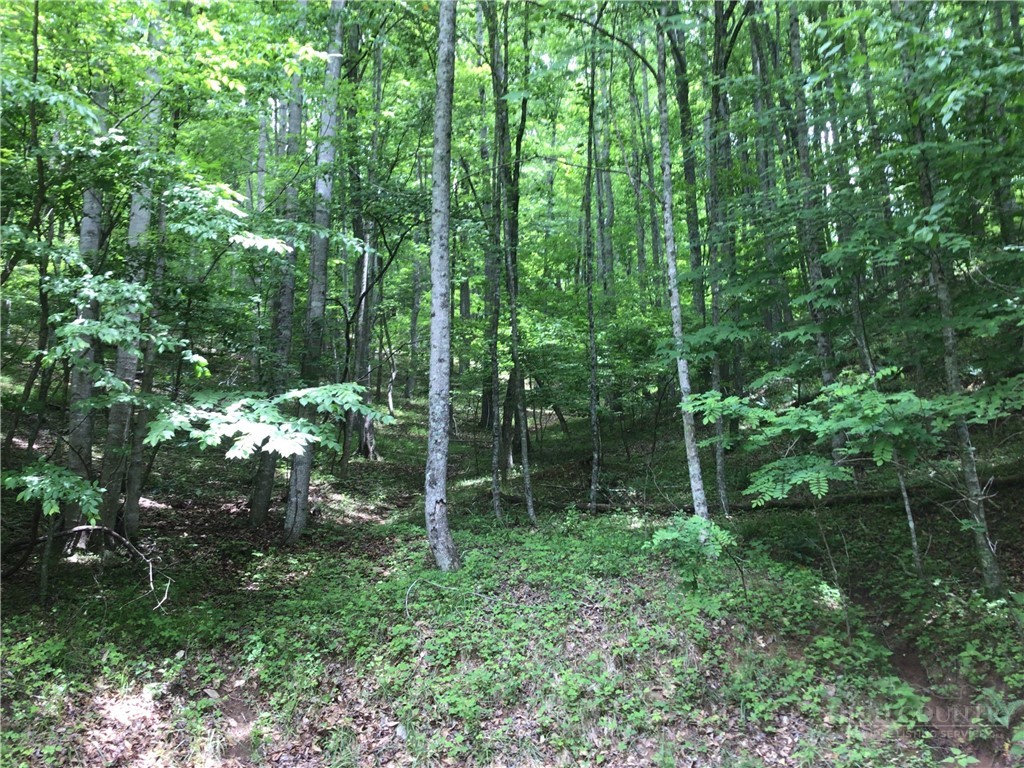 128 Hideaway Crumpler, NC 28617 - Photo 2 of 12