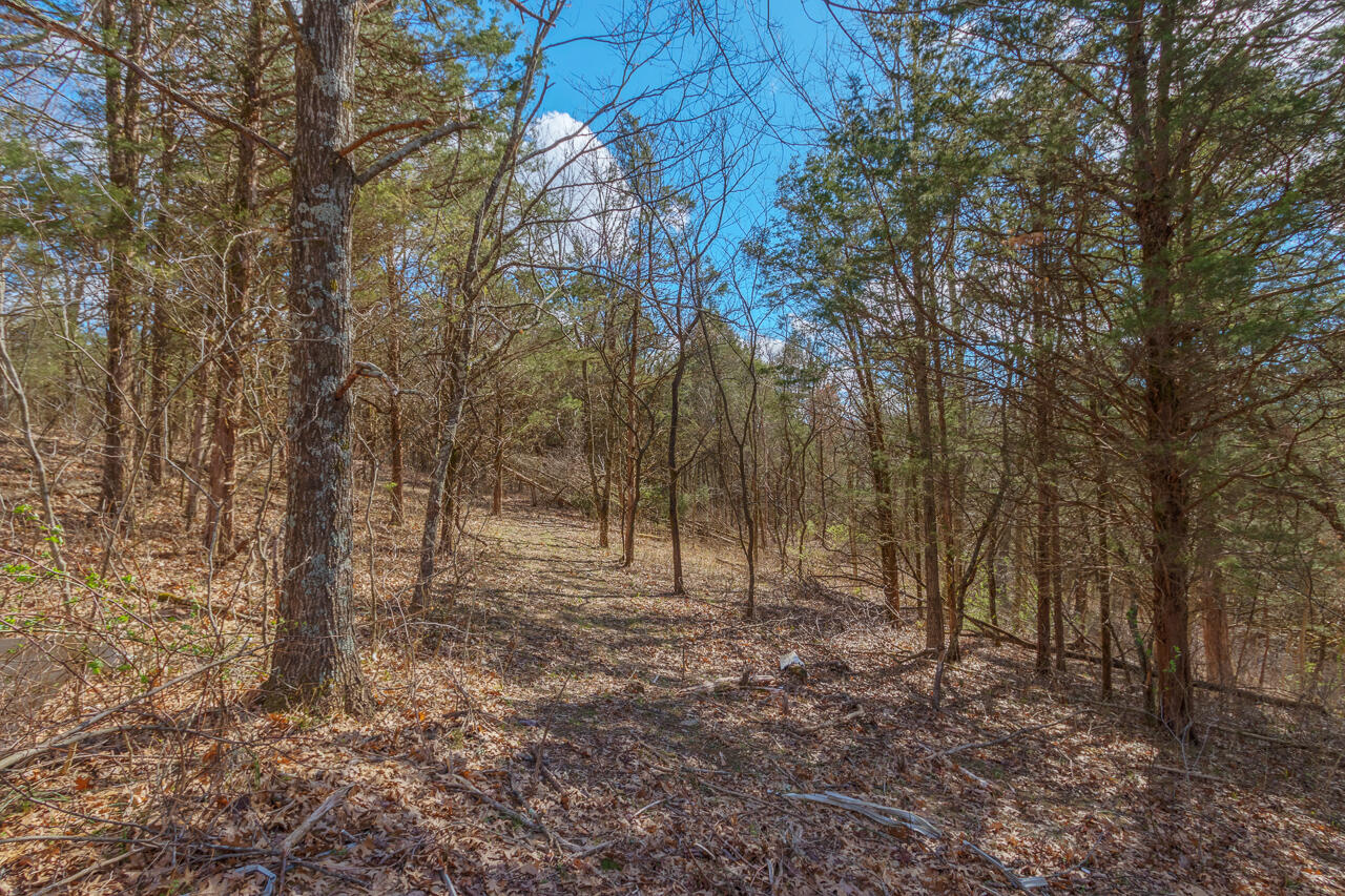 1 Camp Pleasant Road Frankfort, KY 40601 - Photo 7 of 67 025-2918-Cedar-Rd-Stamping-Ground-KY-403