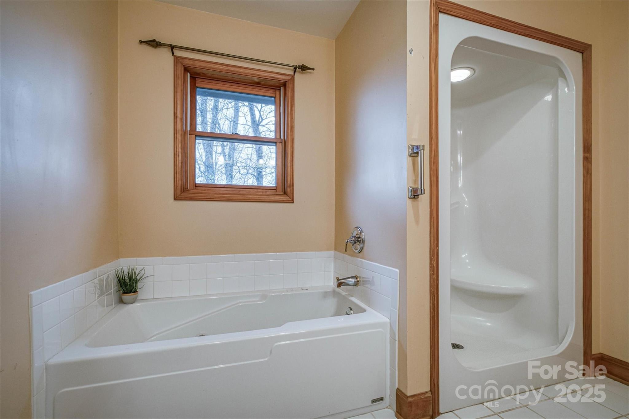 1521 Old Jonas Ridge Road Newland, NC 28657 - Photo 17 of 40 Gallery Image 17