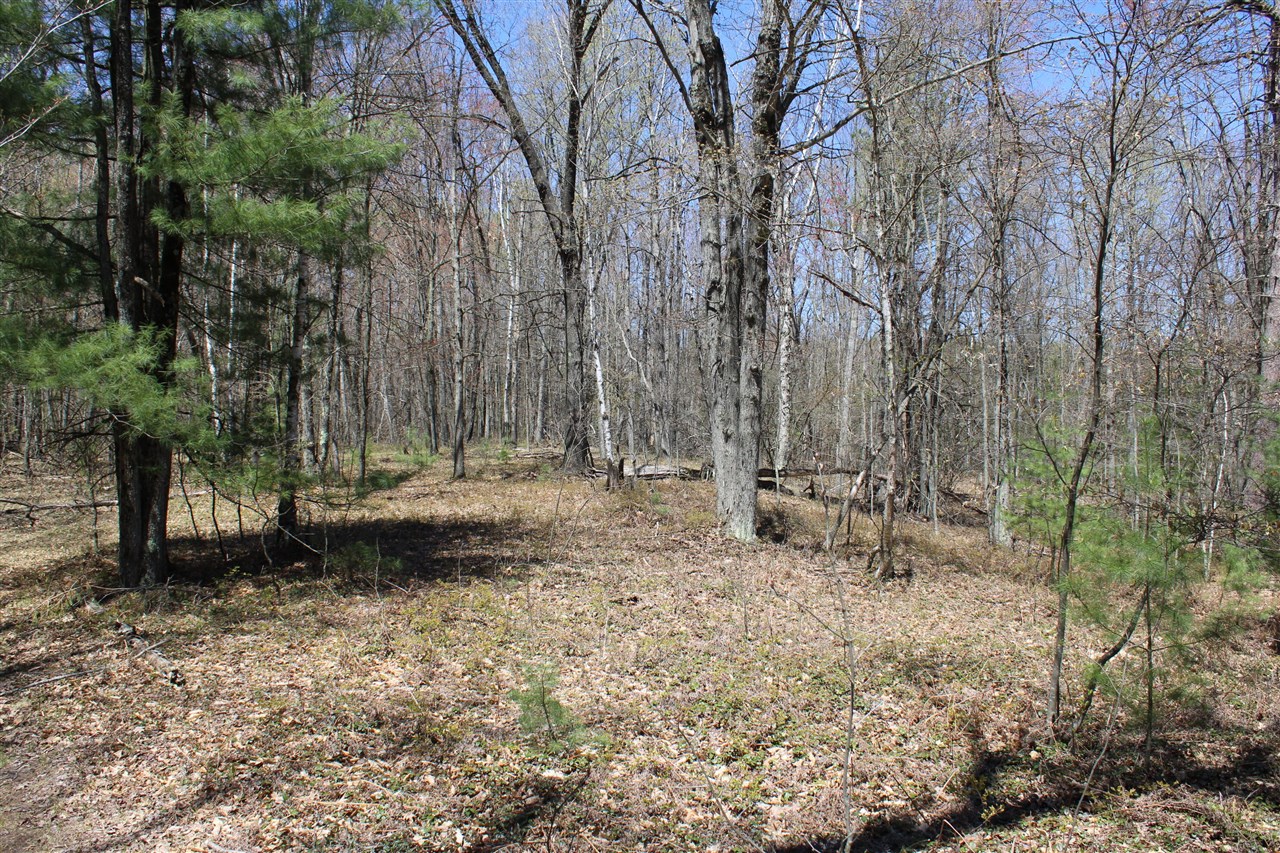 11401 Little George Lake Road Gladwin, MI 48624 - Photo 38 of 72