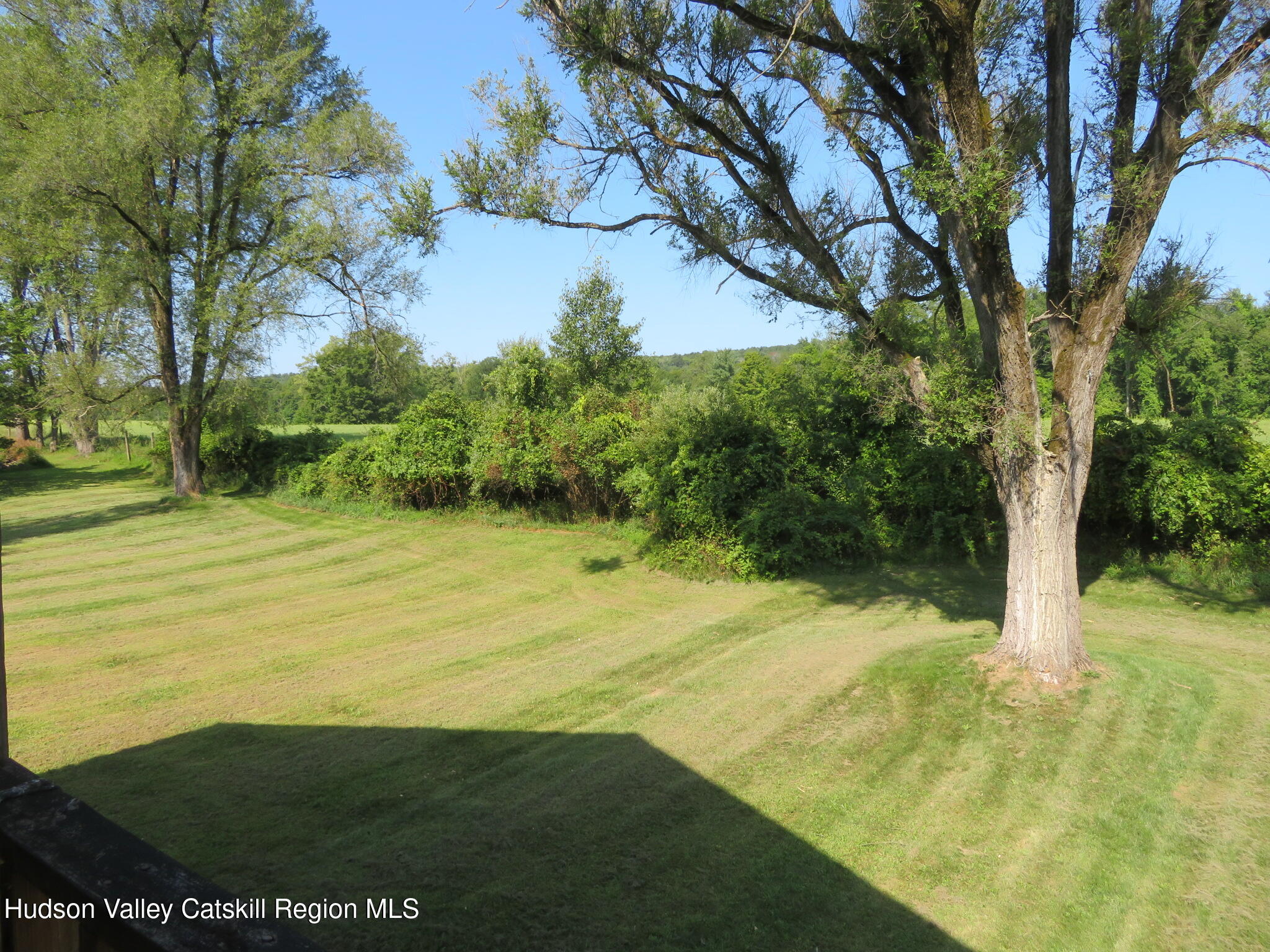 89 Vincent Lane Stone Ridge, NY 12484 - Photo 44 of 45 a view of an trees
