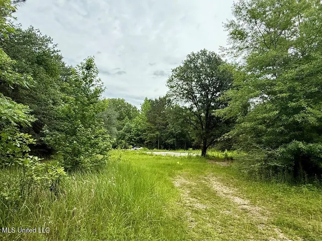 $155,000 | 6844 Highway 43 North, Poplarville, MS 39470