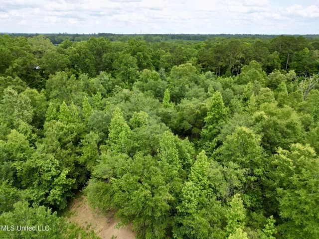 $155,000 | 6844 Highway 43 North, Poplarville, MS 39470