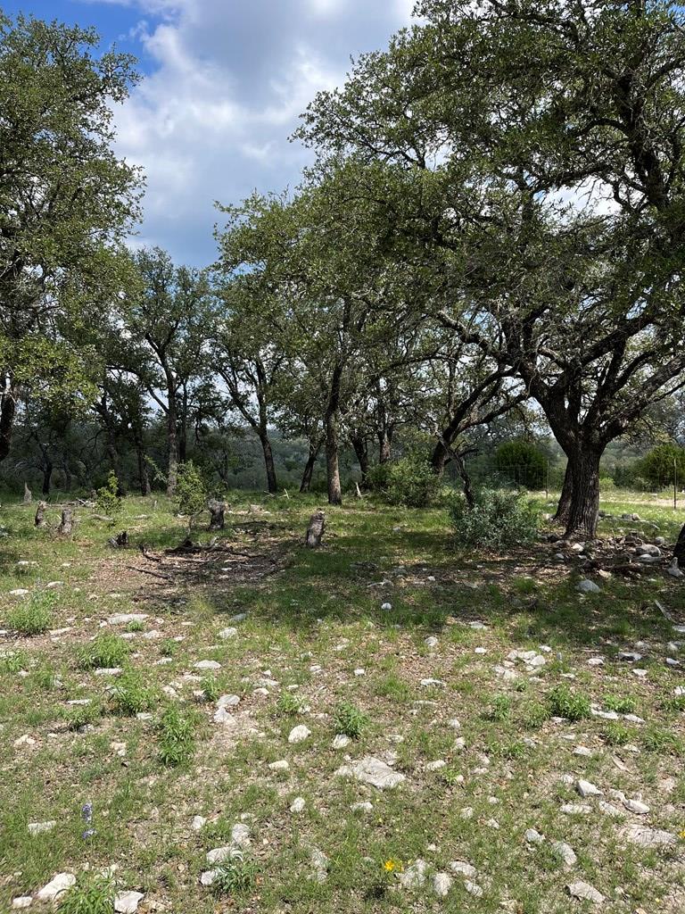 24 Fm 1674 Junction Junction, TX 76849 - Photo 3 of 28 Gallery Image 3