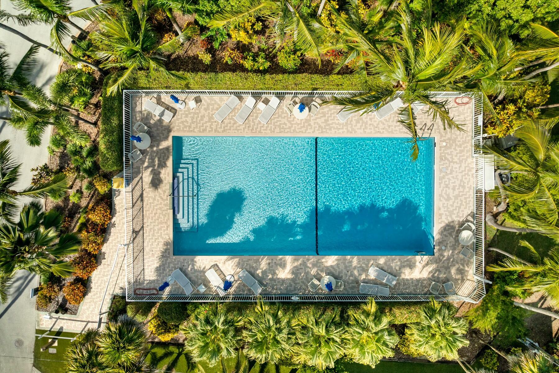 33 Pen Key Drive Islamorada, FL 33036 - Photo 56 of 60 a view of a door with a tree