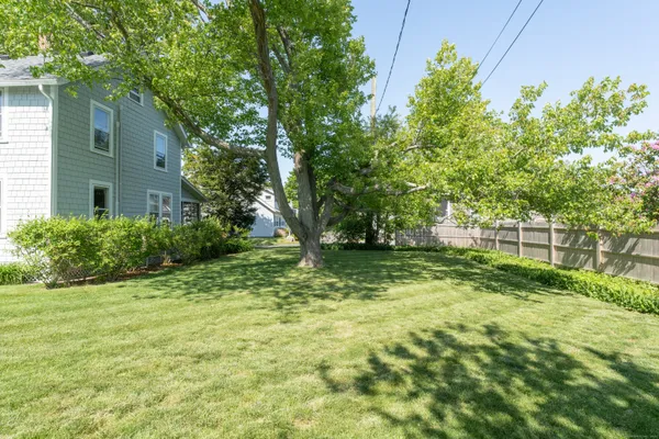 a view of garden with trees