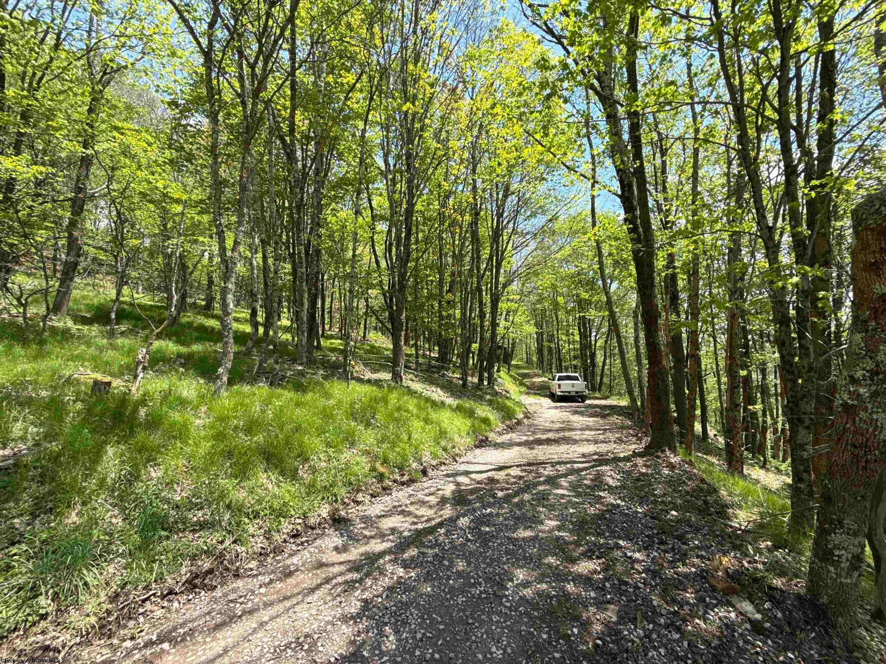 1019 Thunderstruck Road Dryfork, WV 26263 - Photo 10 of 19 Gallery Image 10