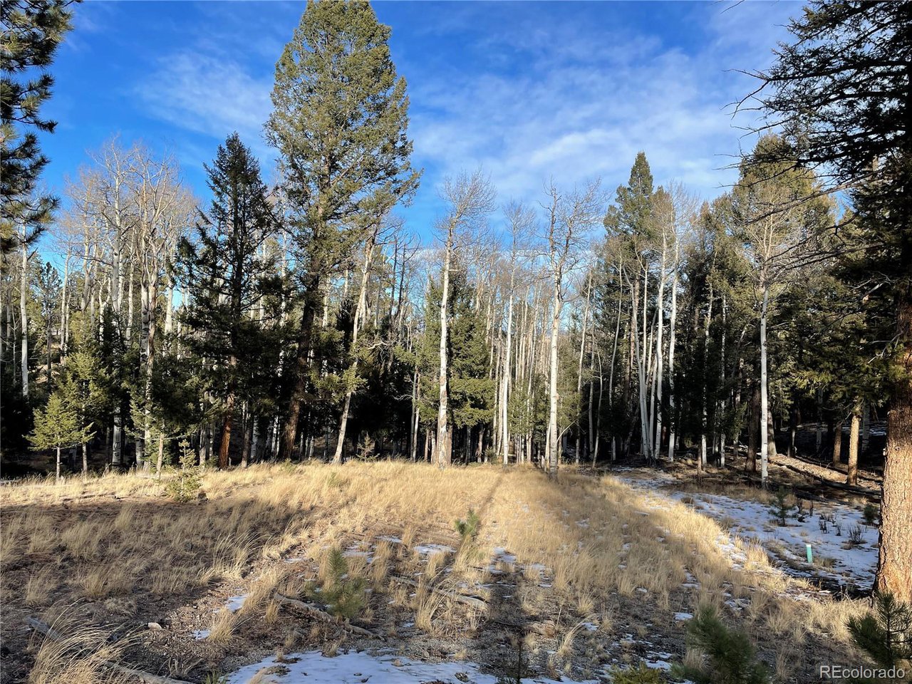 663 Bellows Road Hartsel, CO 80449 - Photo 6 of 32 a view of outdoor space and tree