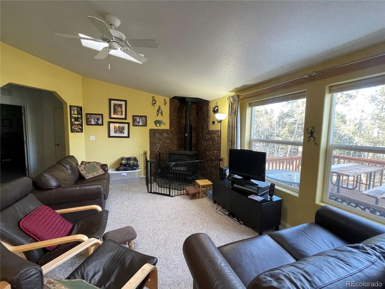 663 Bellows Road Hartsel, CO 80449 - Photo 7 of 32 a living room with furniture and a flat screen tv
