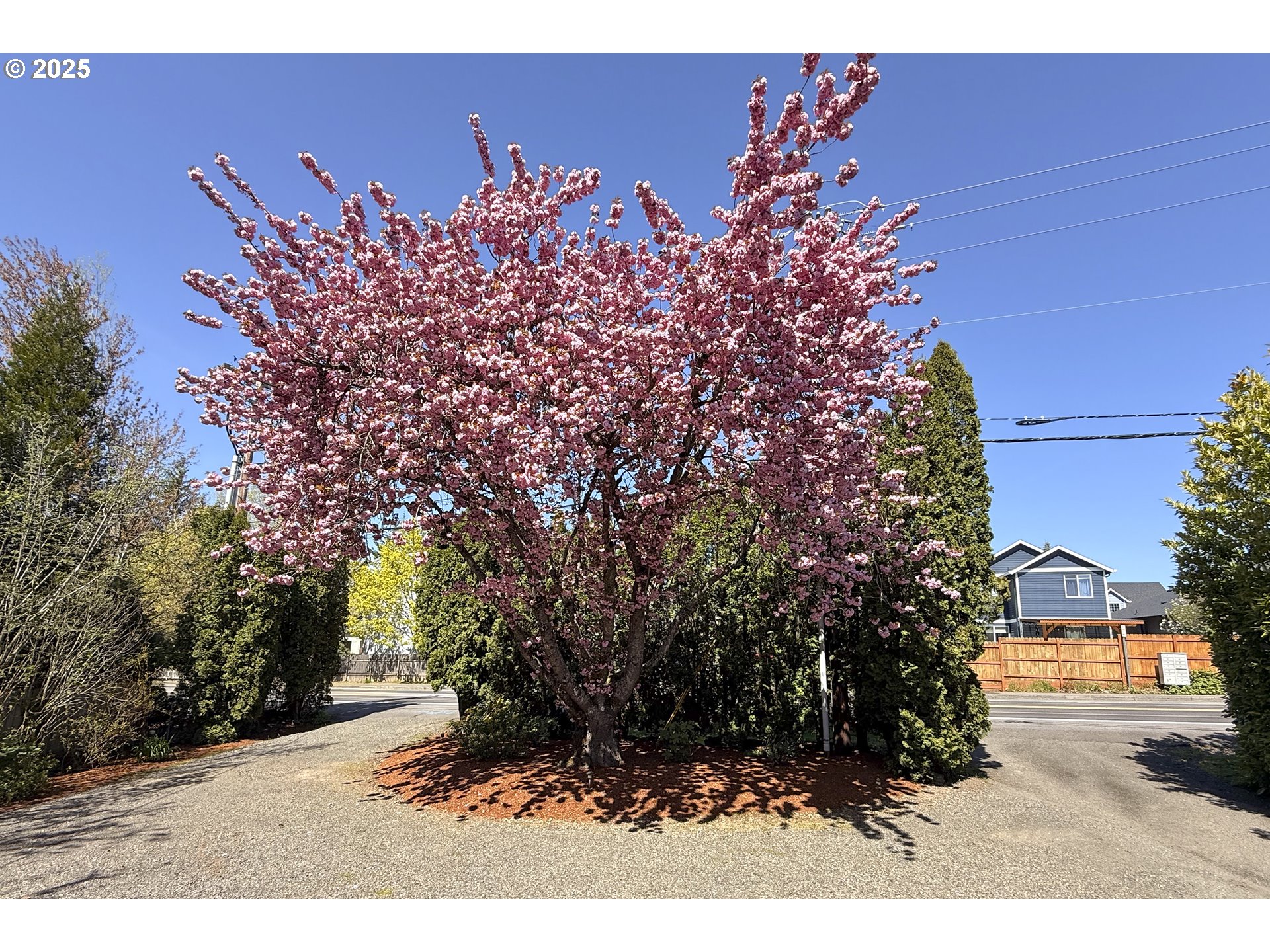 3610 Southeast Powell Valley Road Gresham, OR 97080 - Photo 42 of 45