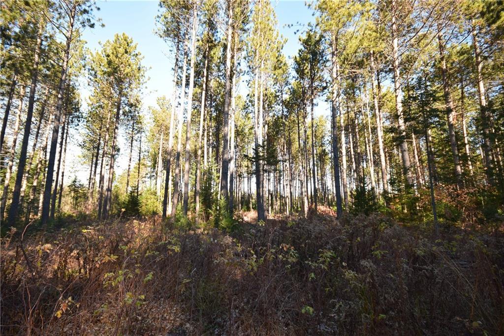 0 Rt 143 Dixmont, ME 04932 - Photo 11 of 18 Land/lot
