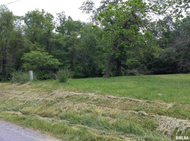 a view of a field with trees in the background