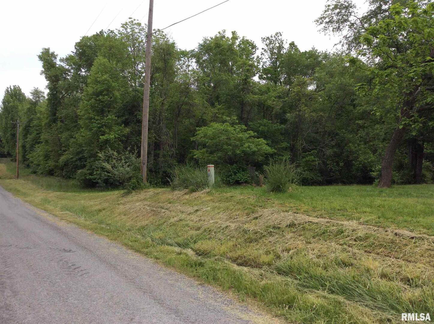 11530 South 28th Street Mount Vernon, IL 62864 - Photo 13 of 15 a view of a yard with a tree