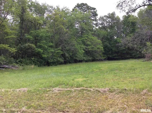 a view of a yard with a trees