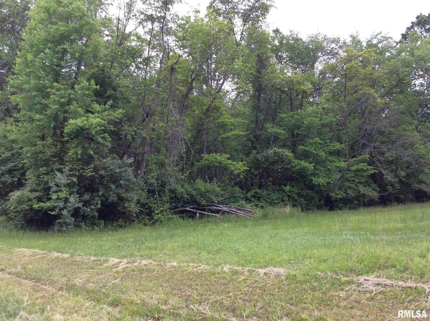 11530 South 28th Street Mount Vernon, IL 62864 - Photo 15 of 15 a view of backyard with green space