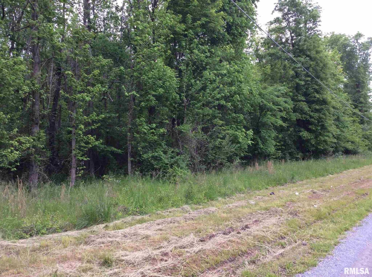 11530 South 28th Street Mount Vernon, IL 62864 - Photo 2 of 15 a view of a lake in middle of forest