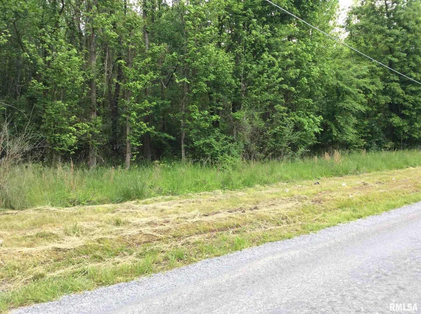 11530 South 28th Street Mount Vernon, IL 62864 - Photo 4 of 15 a view of a lake with a yard