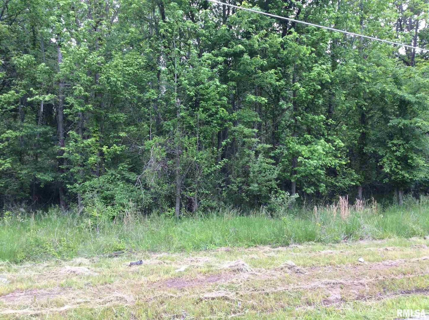 11530 South 28th Street Mount Vernon, IL 62864 - Photo 5 of 15 a view of a lake in middle of forest