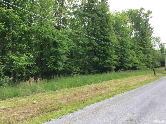a view of a lake with a yard and large trees