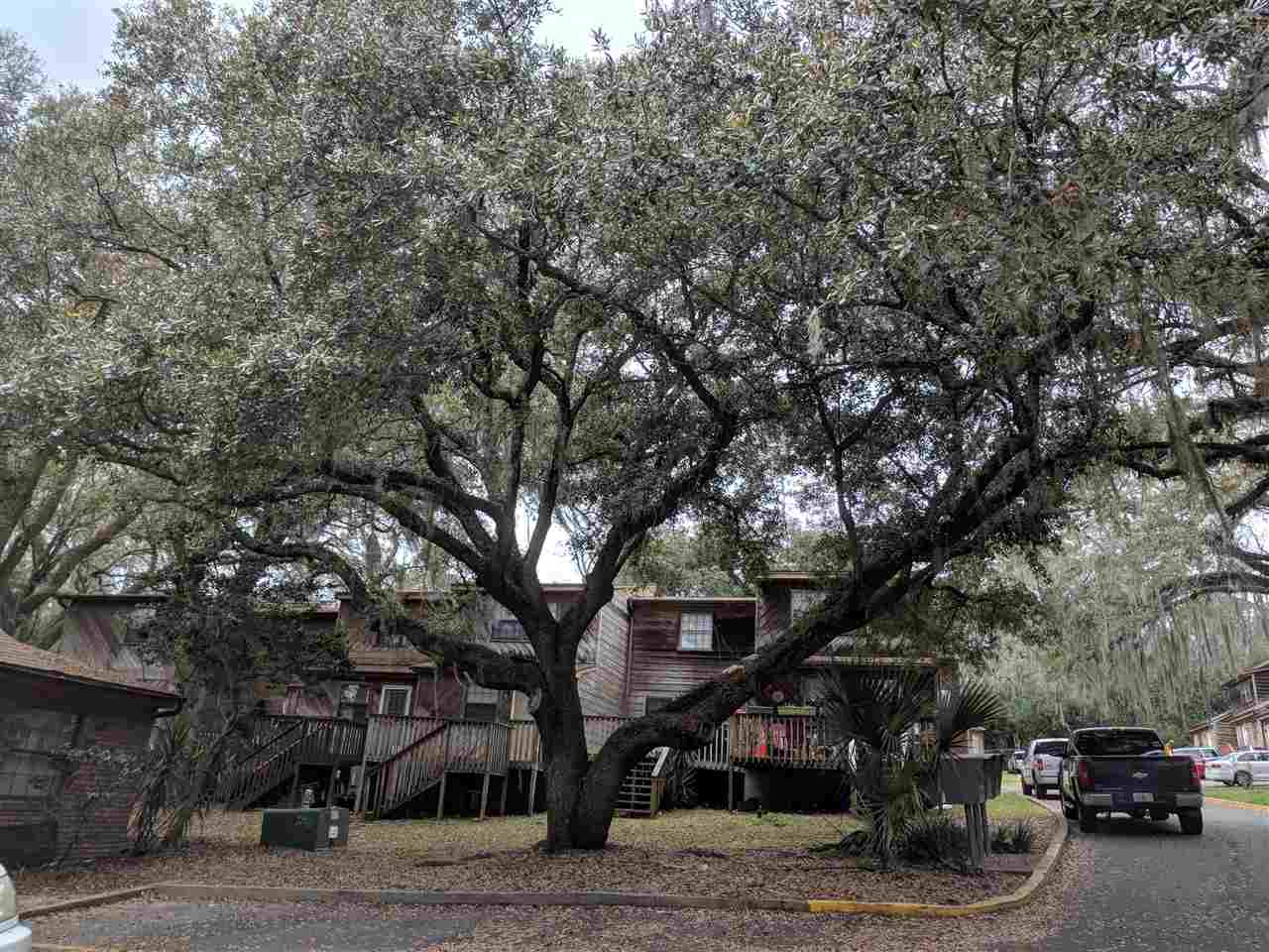 348 Hayden Road Tallahassee, FL 32304 - Photo 8 of 28 Gallery Image 8