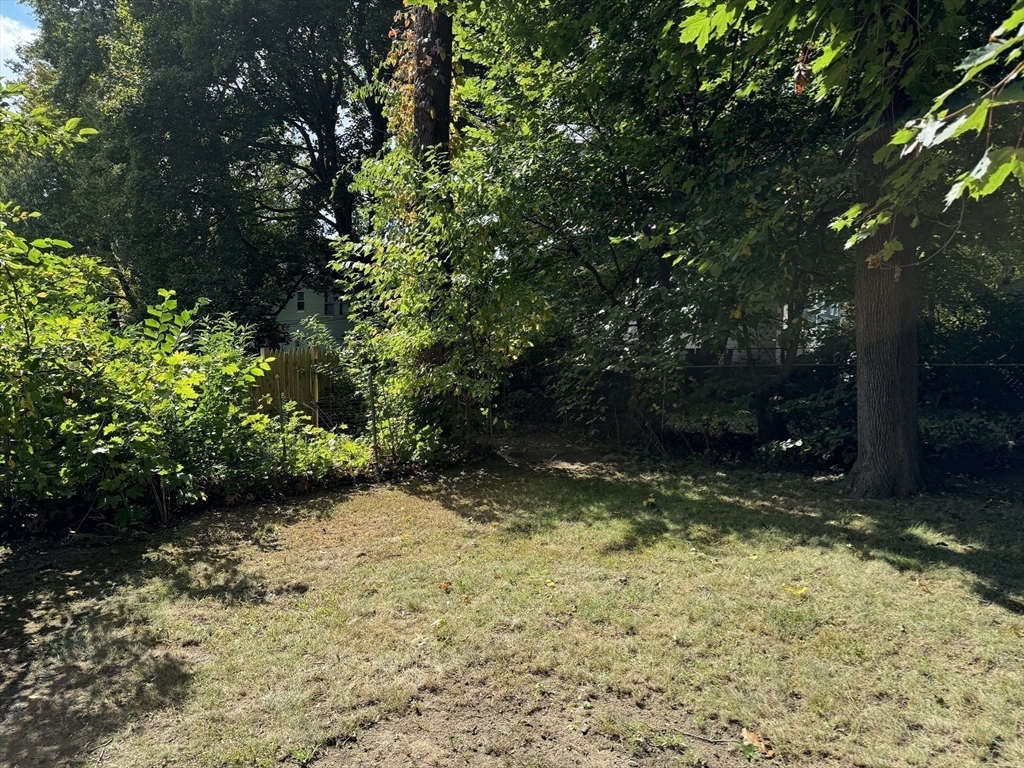 8 Eureka Street Worcester, MA 01603 - Photo 20 of 25 a view of a yard with plants and trees
