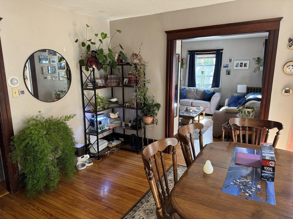 8 Eureka Street Worcester, MA 01603 - Photo 3 of 25 a living room with furniture and a potted plant