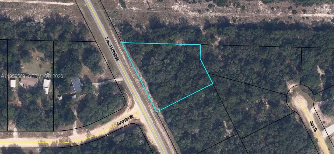 7665 Monongahela Avenue Keystone Heights, FL 32656 - Photo 2 of 2