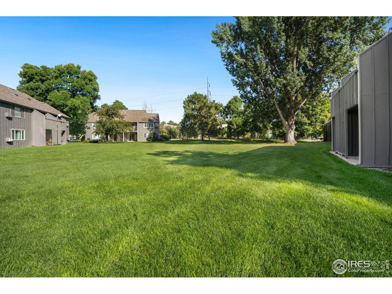 801 East Drake Road, Unit 61 Fort Collins, CO 80525 - Photo 20 of 23 a backyard of a house with lots of green space