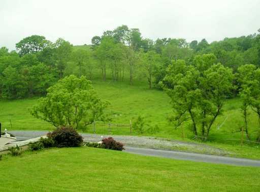 230 Long Mile Road Prosperity, PA 15329 - Photo 7 of 8 Land.