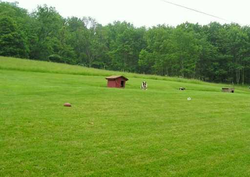 230 Long Mile Road Prosperity, PA 15329 - Photo 8 of 8 Land.
