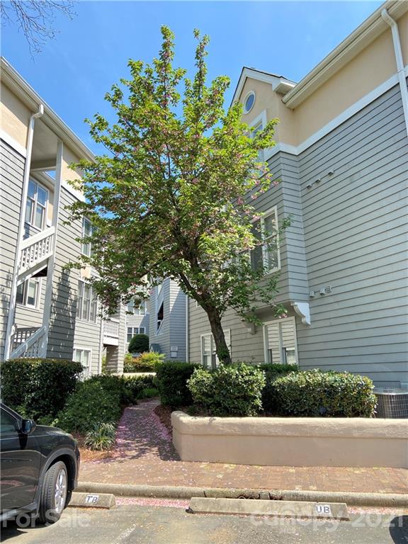 232 Queens Road, Unit 34 Charlotte, NC 28204 - Photo 22 of 22 Gallery Image 22