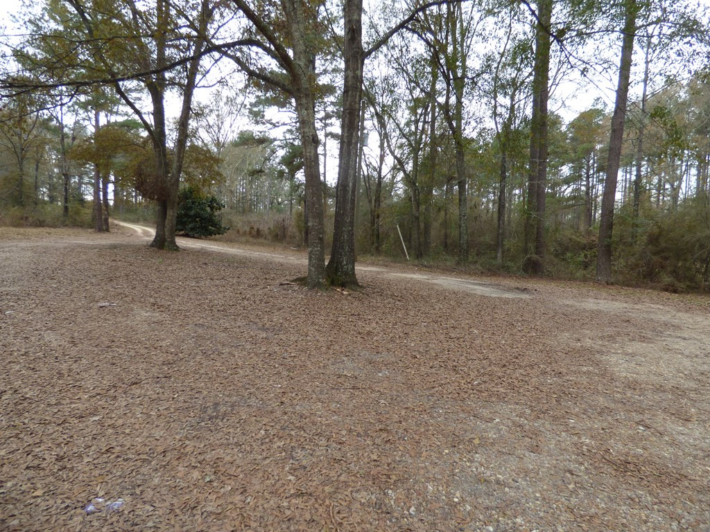 6122 Magnolia Progress Road Magnolia, MS 39652 - Photo 2 of 14 Photo 2