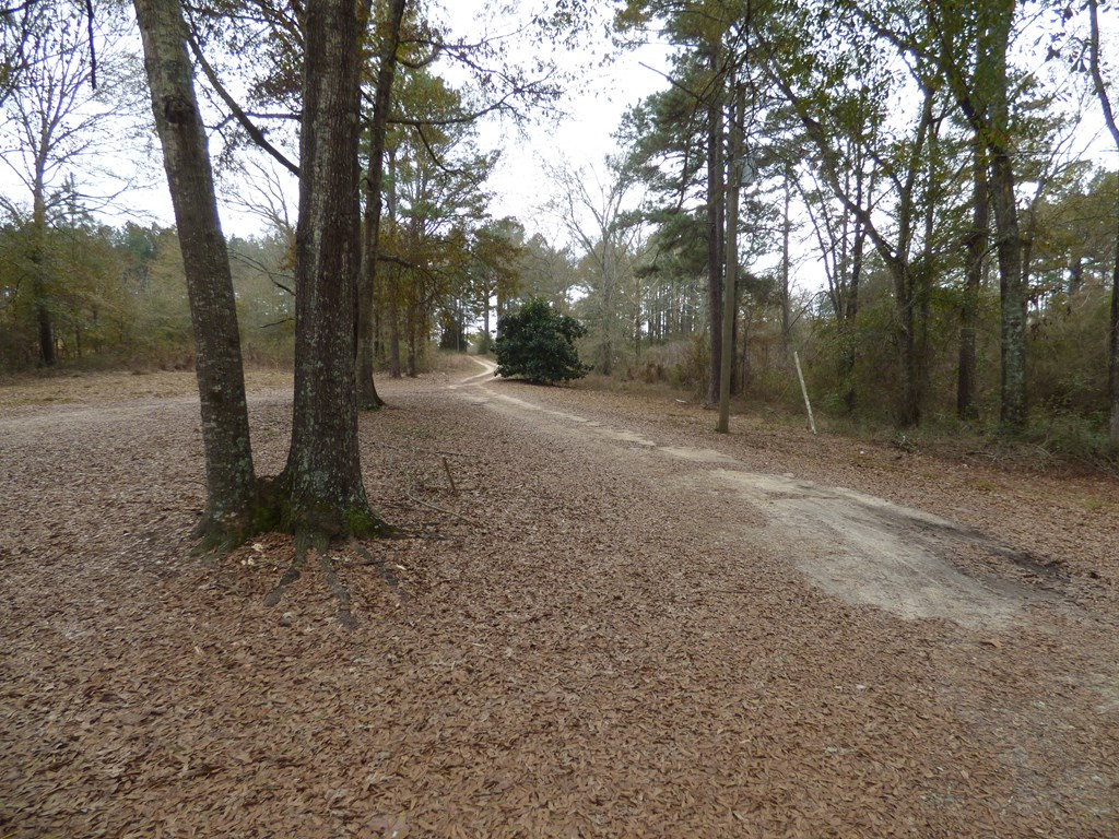 6122 Magnolia Progress Road Magnolia, MS 39652 - Photo 3 of 14 Photo 3
