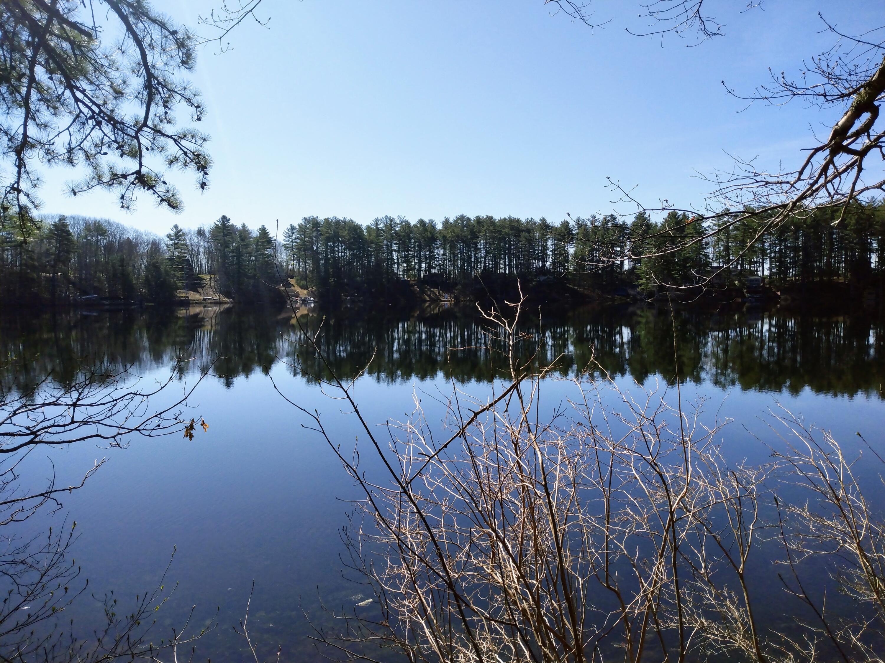 0 Barkers Pond Road Lyman, ME 04002 - Photo 1 of 10 IMG_20230428_092455509