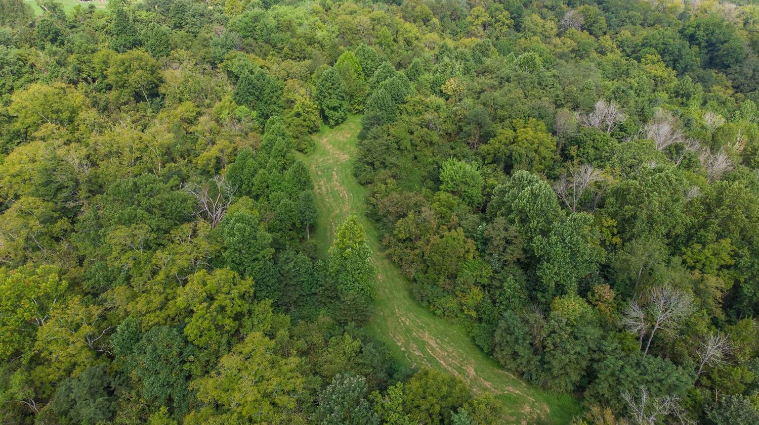 1340 Taylor Ridge Road Nicholasville, KY 40356 - Photo 18 of 19 Photo 18