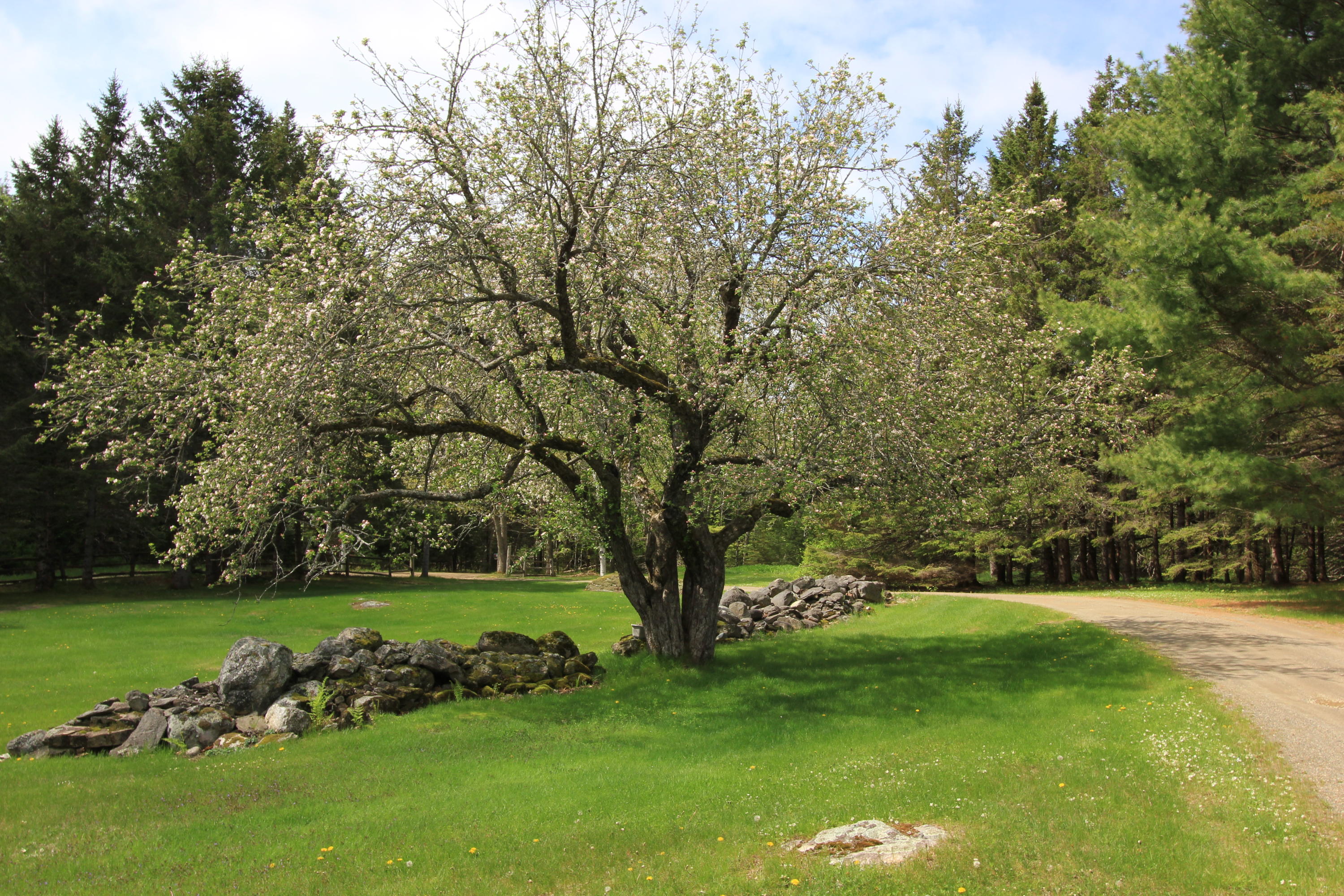 144 Webster Cemetery Road Troy, ME 04987 - Photo 4 of 79 IMG_3631