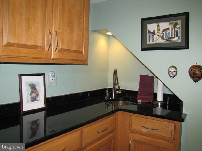 810 Villa Ridge Road Falls Church, VA 22046 - Photo 13 of 29 Rec Room Wet Bar