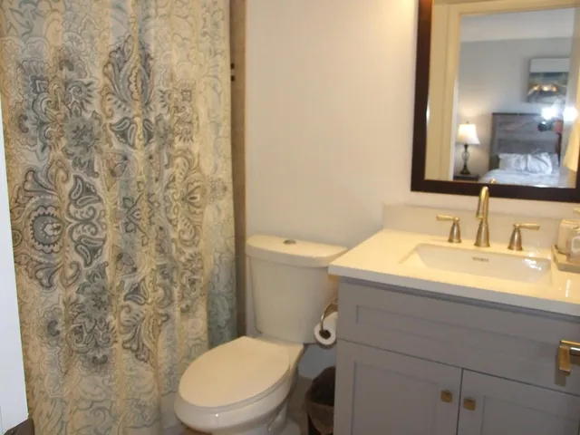 a bathroom with a sink a toilet and a mirror