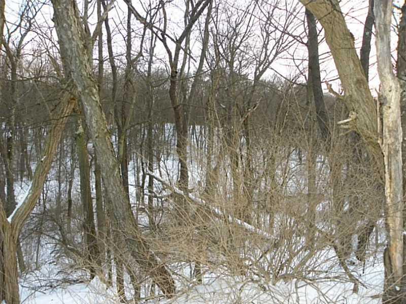 2471 Rochester Road Franklin Park, PA 15143 - Photo 2 of 9 Land.