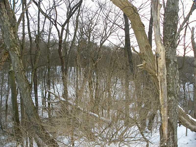 2471 Rochester Road Franklin Park, PA 15143 - Photo 6 of 9 Land.