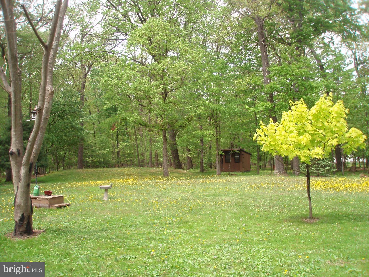 126 Schott Road Perkasie, PA 18944 - Photo 8 of 25 Back Yard