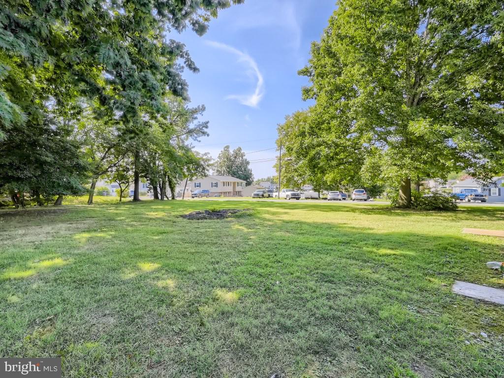 2401 East Sparrows Point Sparrows Point, MD 21219 - Photo 6 of 34 Privacy with almost 1/2 acre lot.