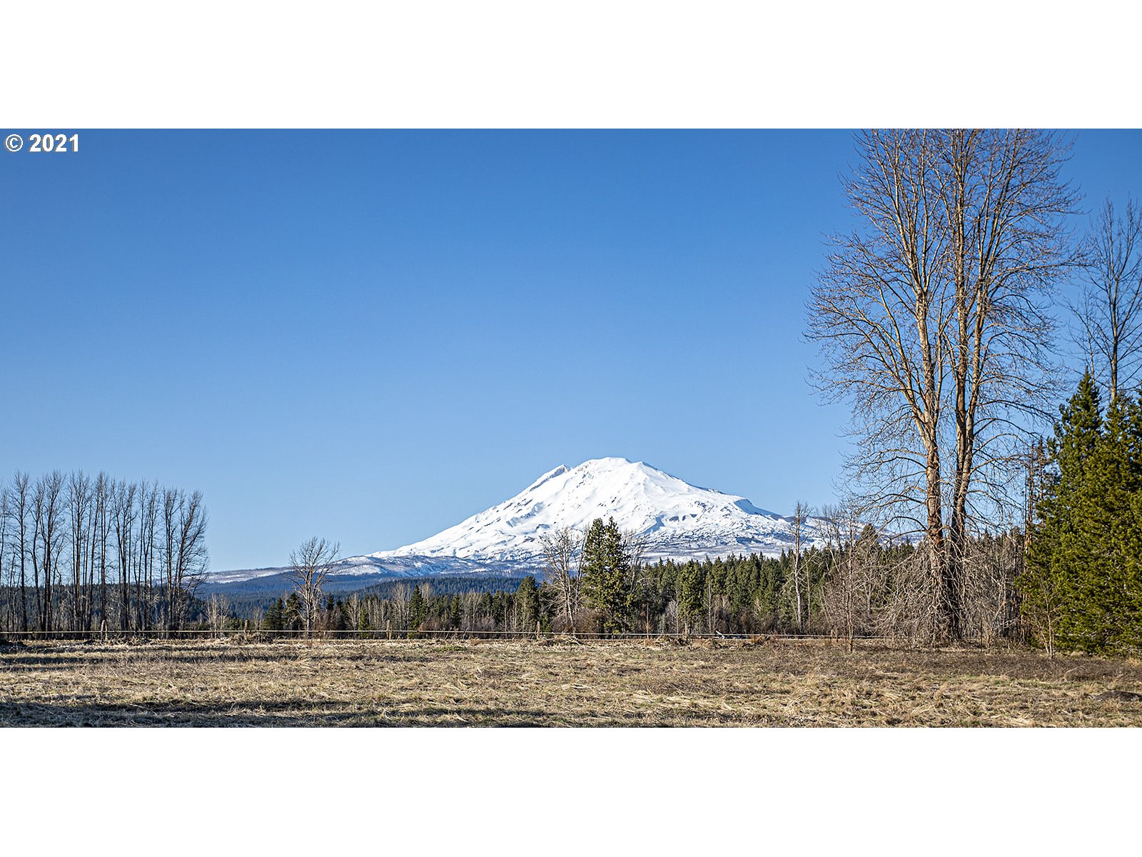 21 Sunnyside Road Trout Lake, WA 98650 - Photo 32 of 32 Gallery Image 32
