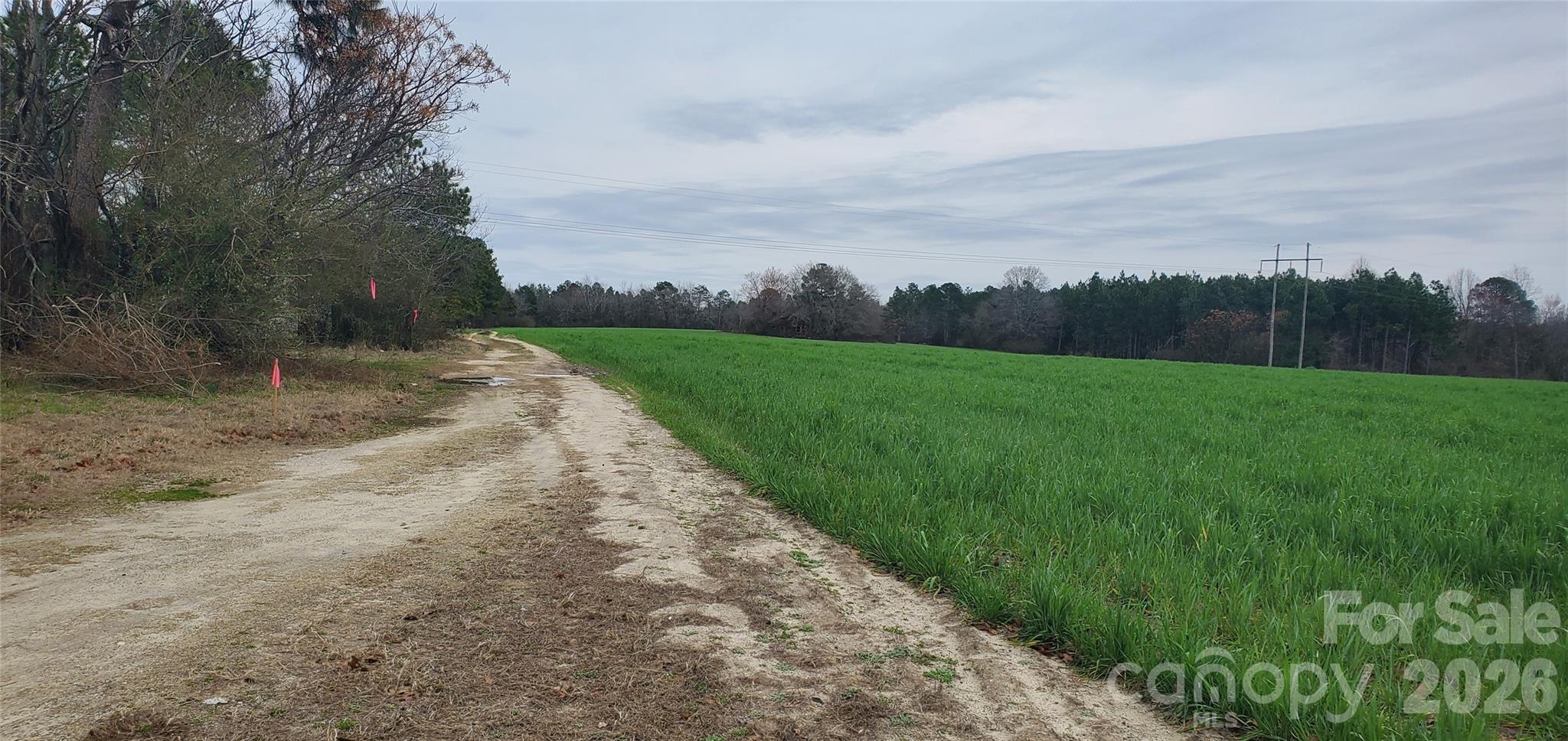 650 Farmers Market Road Biscoe, NC 27209 - Photo 9 of 26 Gallery Image 9