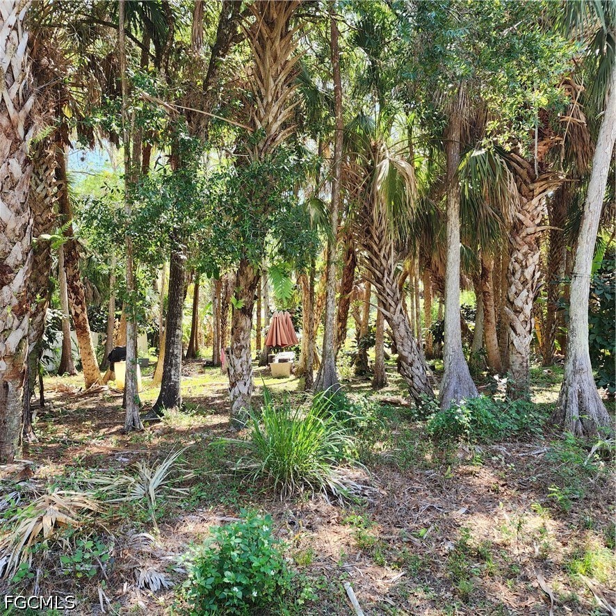 381 8th Street Northeast Naples, FL 34120 - Photo 5 of 38