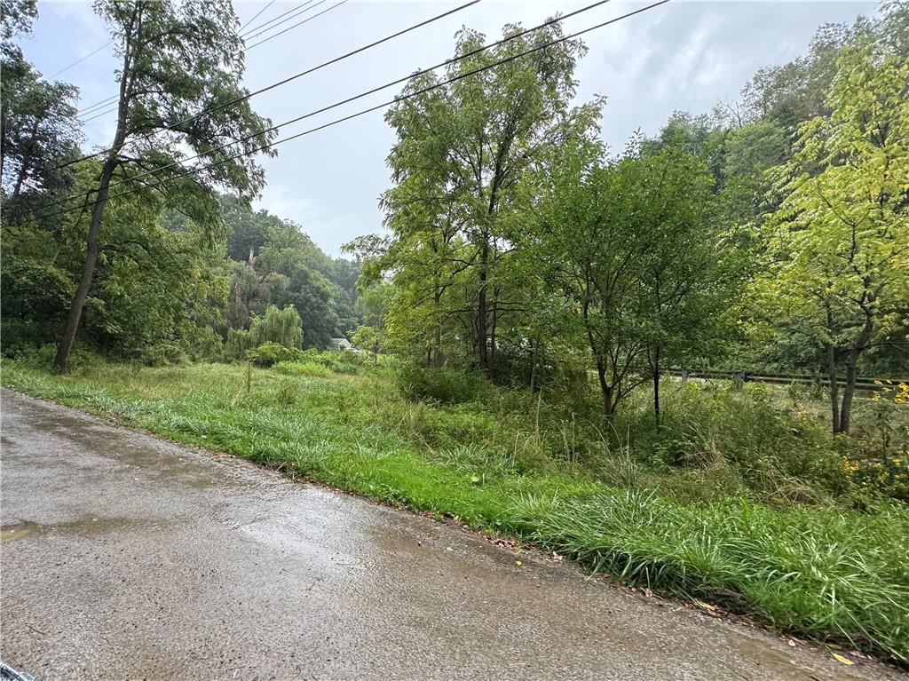 500 Conway Wallrose Road Freedom, PA 15042 - Photo 3 of 9 a view of a yard with plants and a large tree