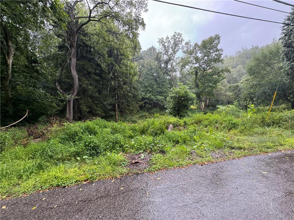 500 Conway Wallrose Road Freedom, PA 15042 - Photo 7 of 9 a backyard of a house with lots of green space