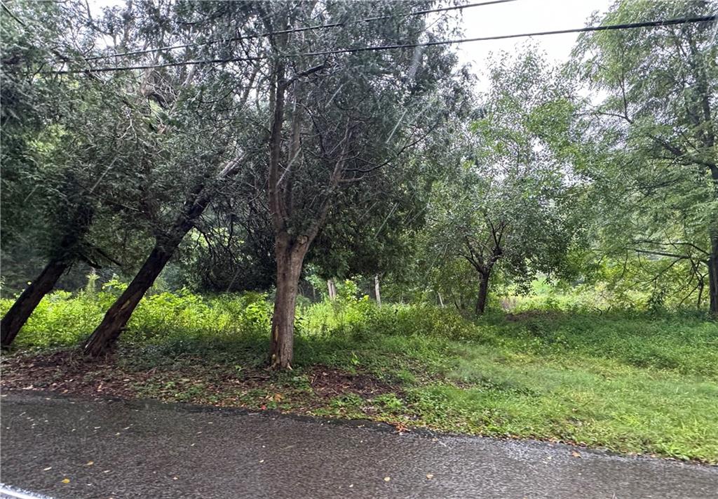 500 Conway Wallrose Road Freedom, PA 15042 - Photo 8 of 9 a view of a yard with a tree
